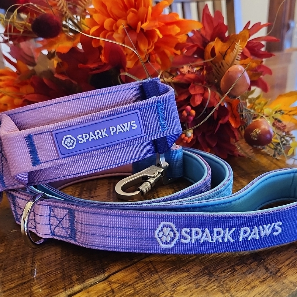 Spark Paws Purple and Blue Pet Collar and Leash